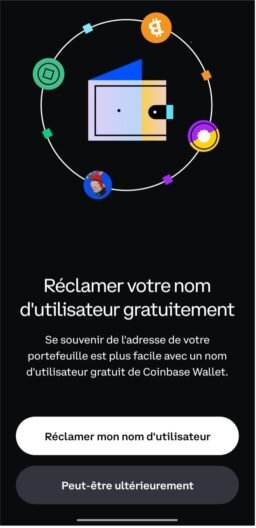 nomadressewallet e1703017107239